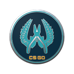 Genuine Guardian Pin