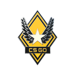Genuine Victory Pin